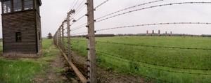 Auschwitz Birkenau Perimiter Fence